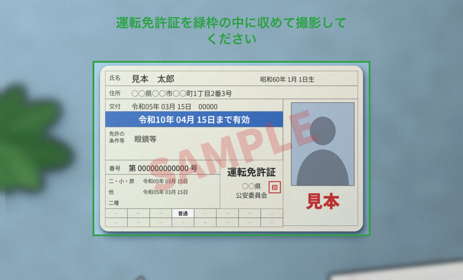あさレポ for iPad の運転免許証確認の画面。見本の運転免許証を緑の枠に収めて撮影している